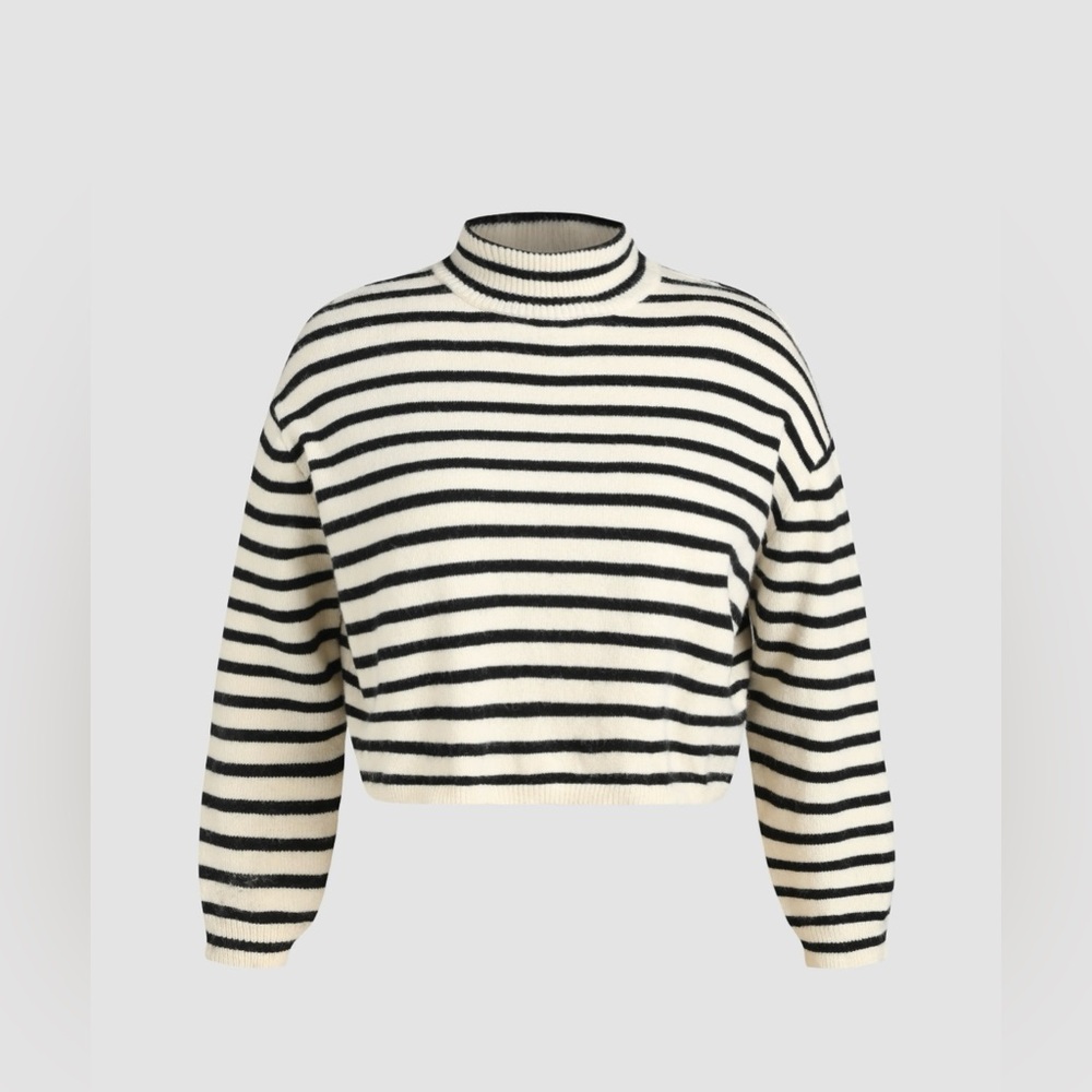 Women’s Top (STRIPED HIGH NECK OVERSIZED CROP
SWEATER)